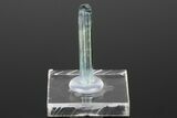 Bi-Colored Aquamarine Crystal - Transbaikalia, Russia #175642-1